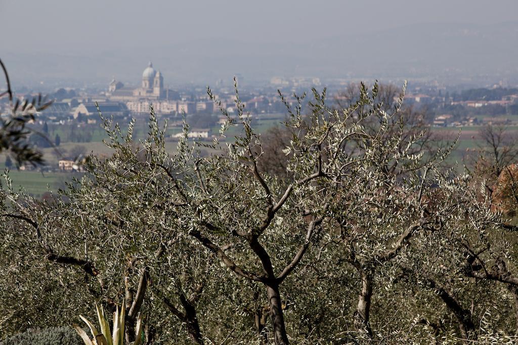 Villa Rosy Assisi Kültér fotó