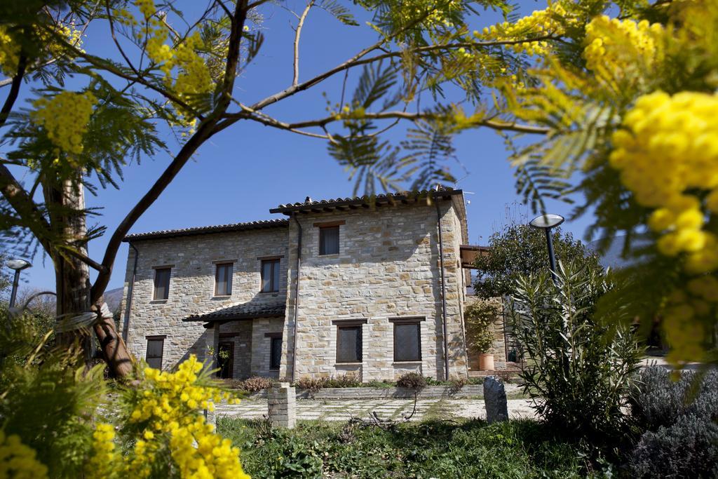 Villa Rosy Assisi Kültér fotó