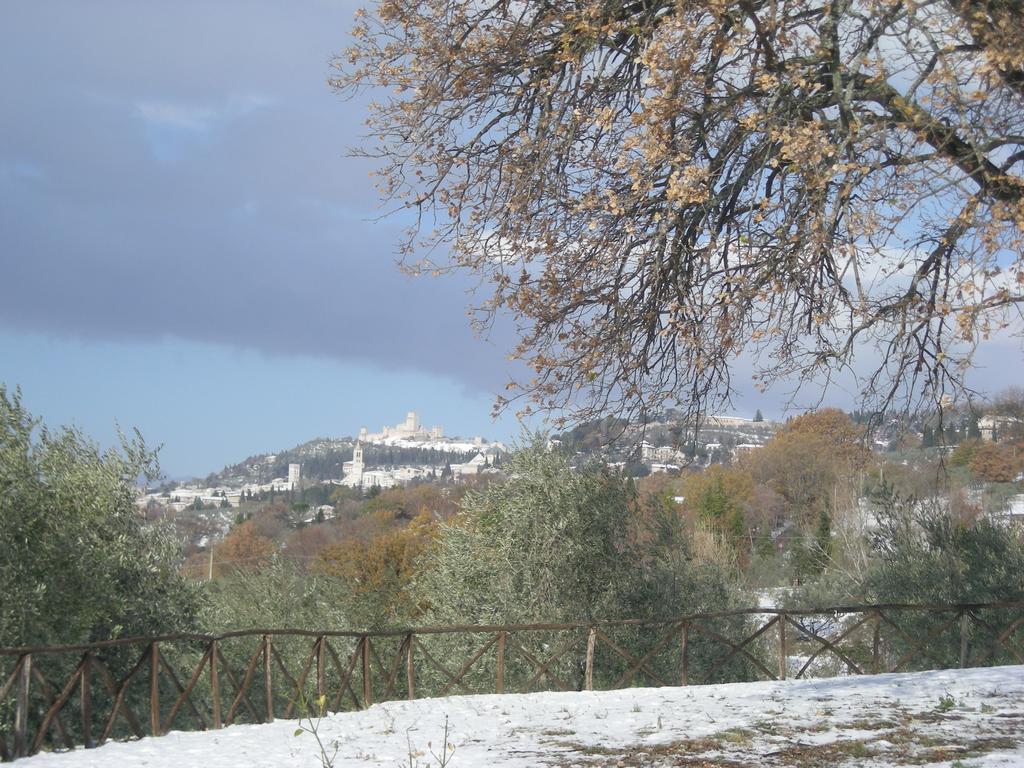 Villa Rosy Assisi Kültér fotó